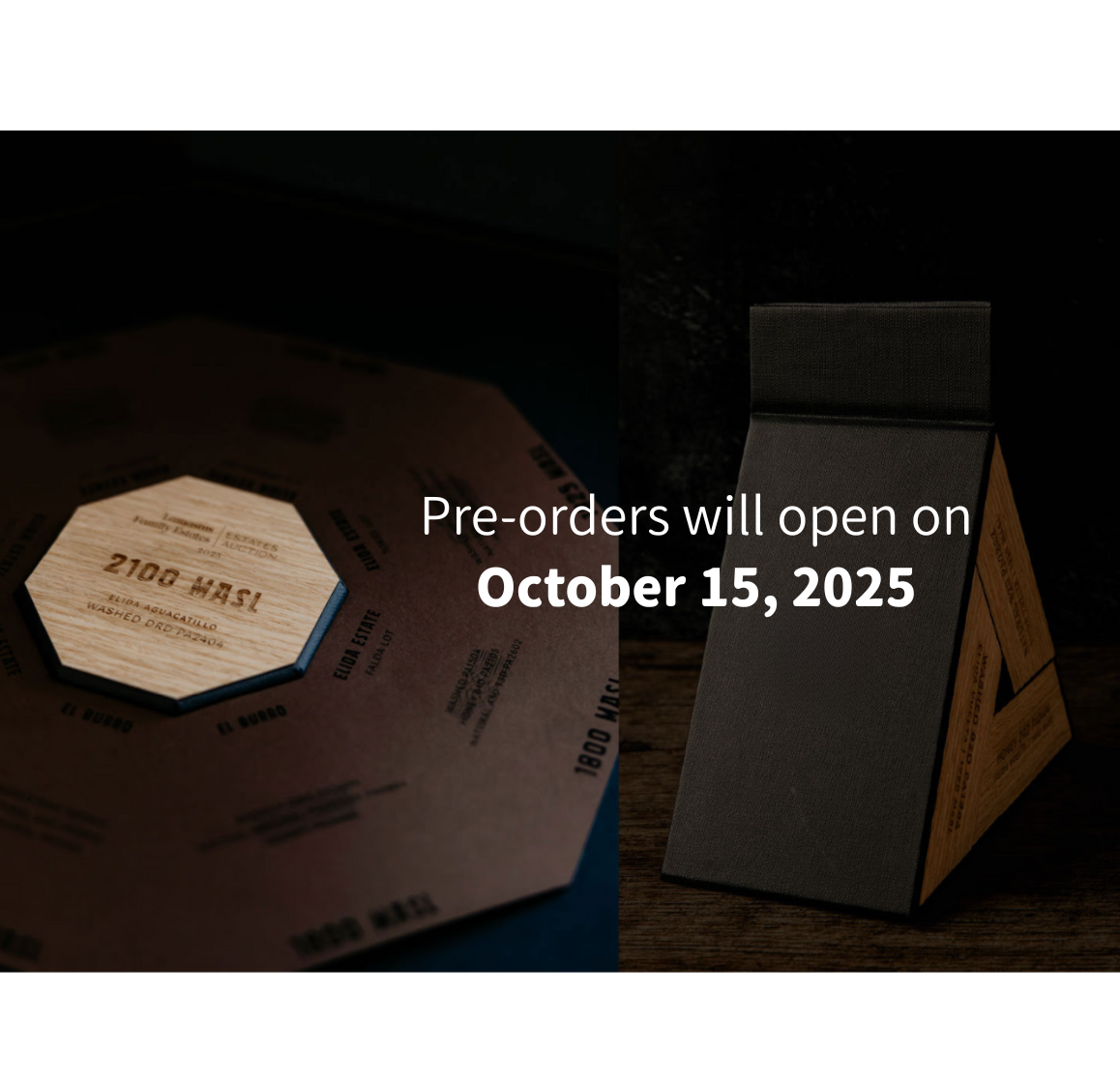 Lamastus Family L-C Arriba ASD Geisha（Unsold）